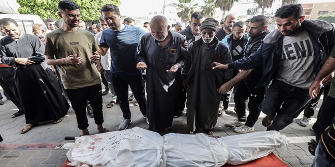 Quarante-trois martyrs à Gaza au cours des dernières 24 heures
